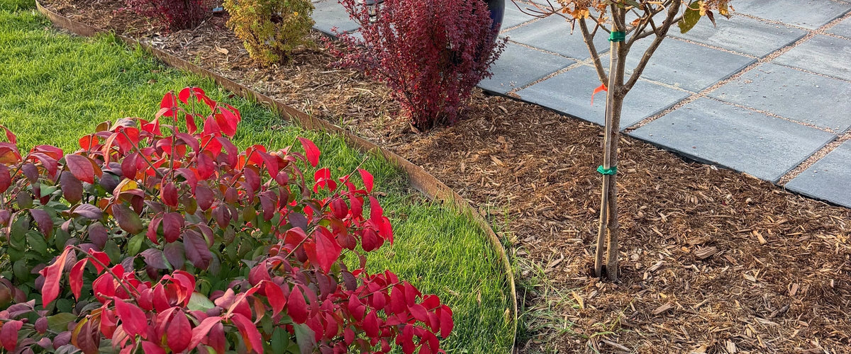 Putting the Garden to Bed: A Fall Checklist for Cold-Winter Gardens