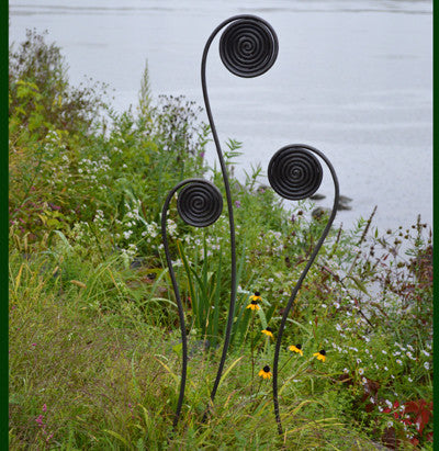Giant Steel Fiddlehead Fern Garden Stakes – Set of 3 (32", 40", 48")