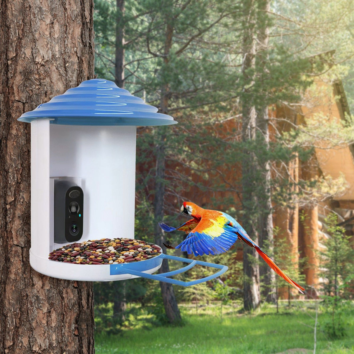 Bird Feeder with Camera – Solar Smart Bird Feeder, 1080p HD, AI Bird Identification – photo 9