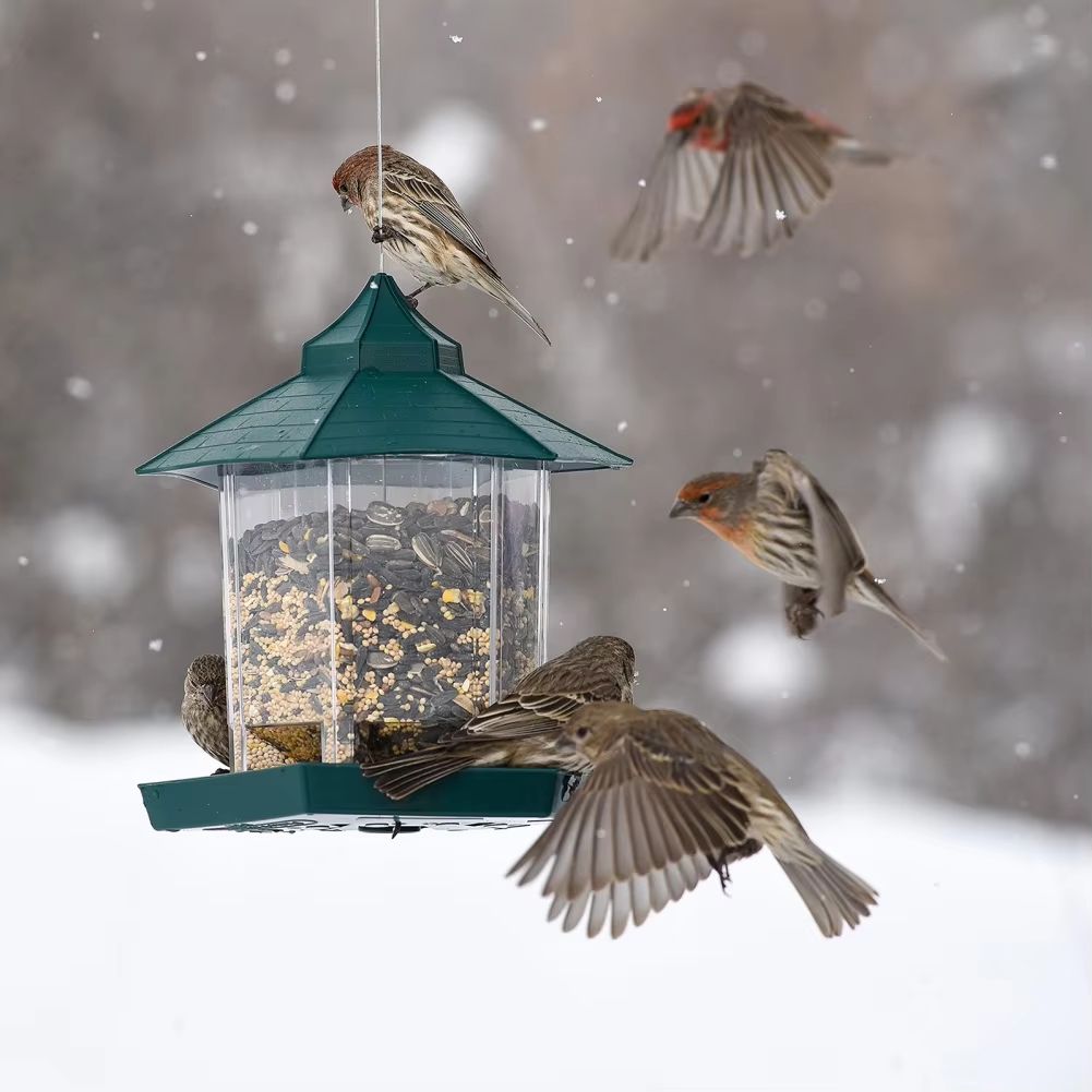 Hanging Gazebo Bird Feeder – 6 Feeding Ports, Large Seed Capacity, Weatherproof – photo 13