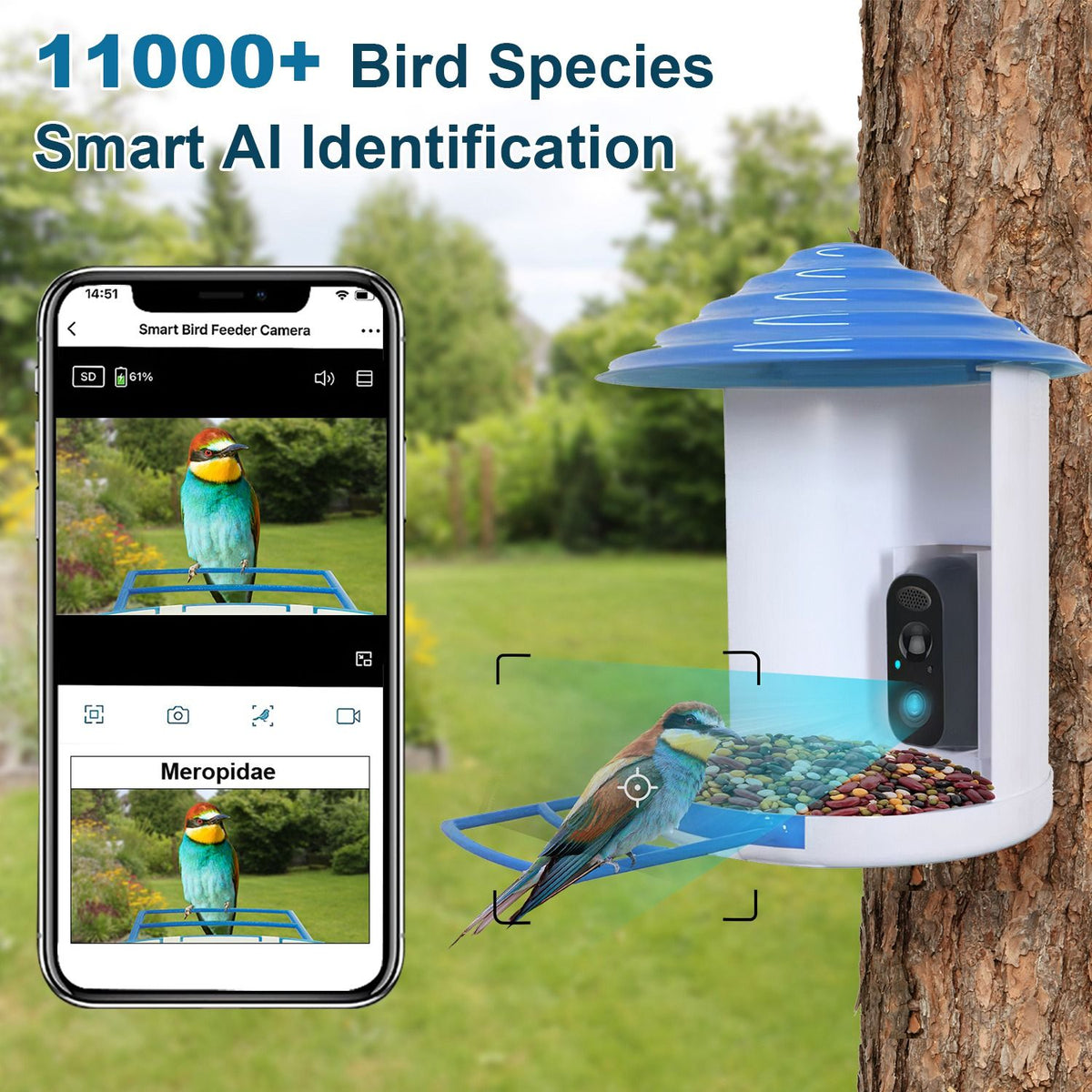 Bird Feeder with Camera – Solar Smart Bird Feeder, 1080p HD, AI Bird Identification – photo 6