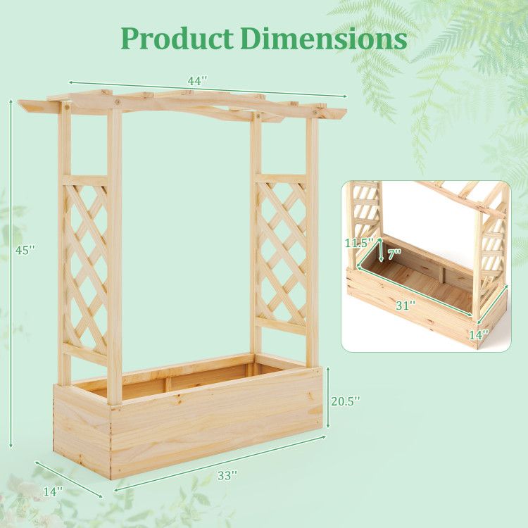568590861