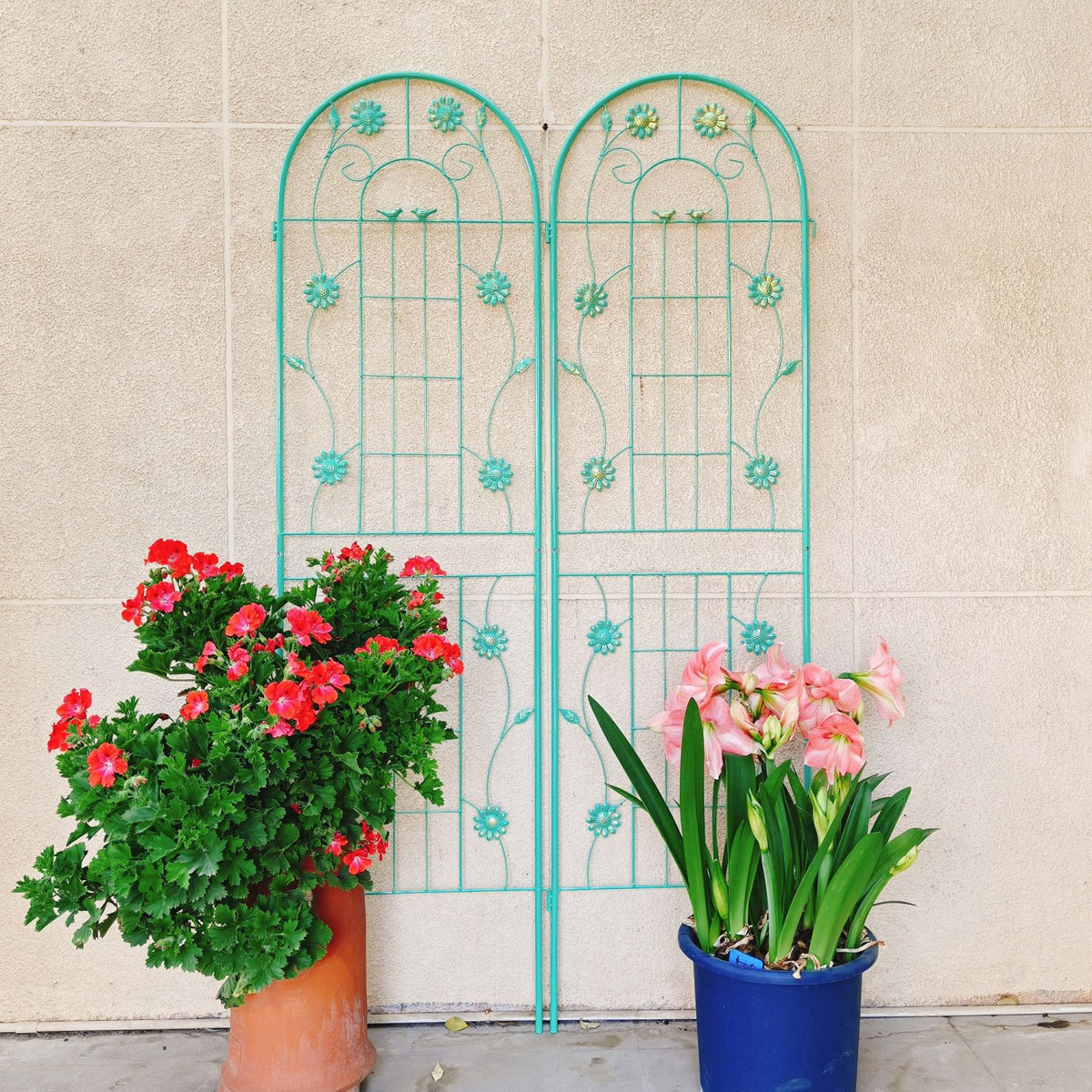 Metal Garden Trellis, 2-Pack – 71" x 19.7" Rustproof Climbing Plant Support – photo 7