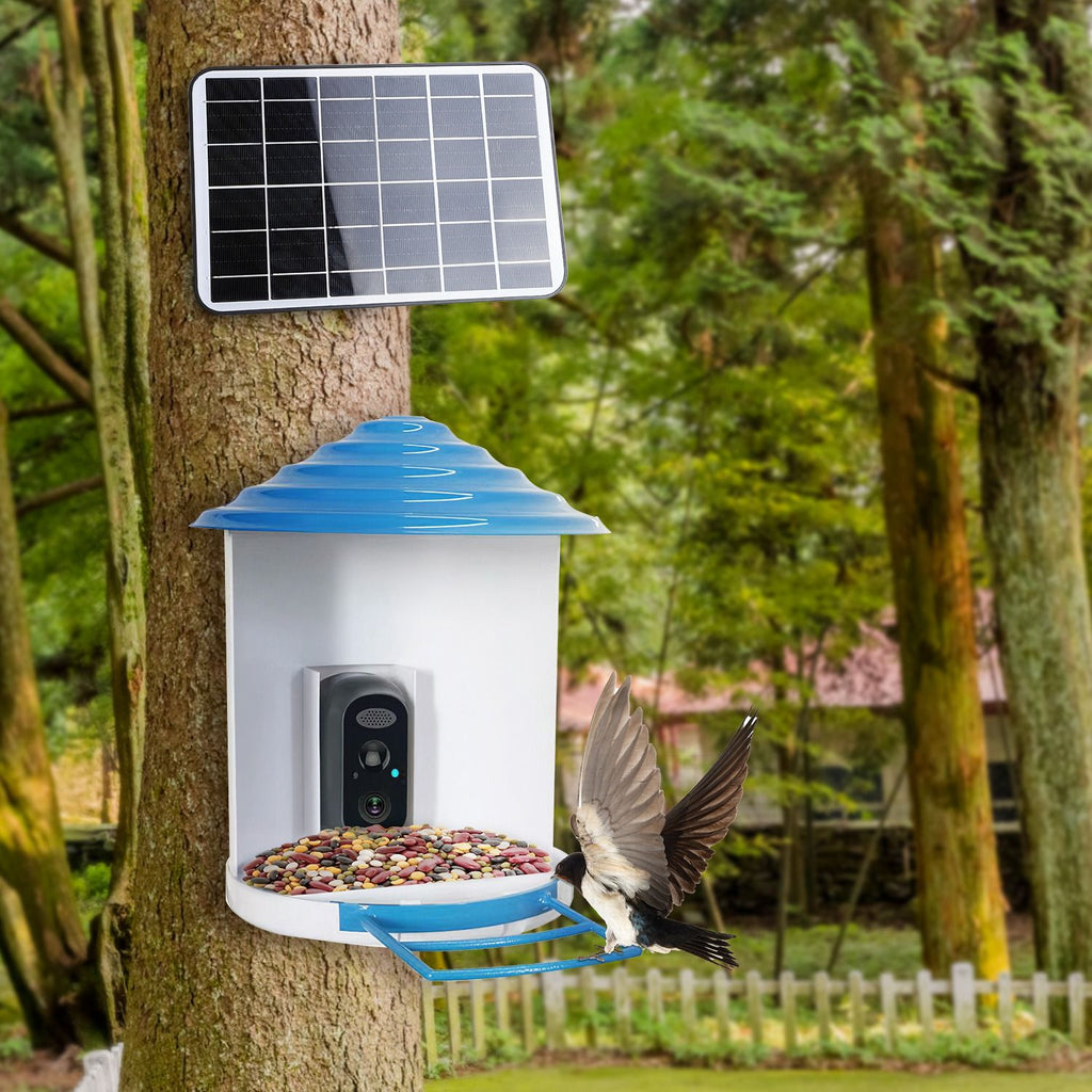 Bird Feeder with Camera – Solar Smart Bird Feeder, 1080p HD, AI Bird Identification – photo 7