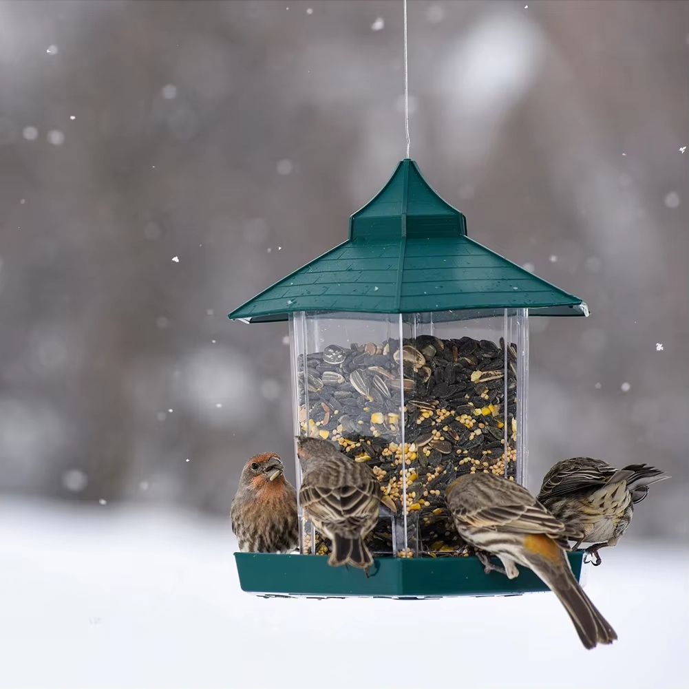 Hanging Gazebo Bird Feeder – 6 Feeding Ports, Large Seed Capacity, Weatherproof – photo 11