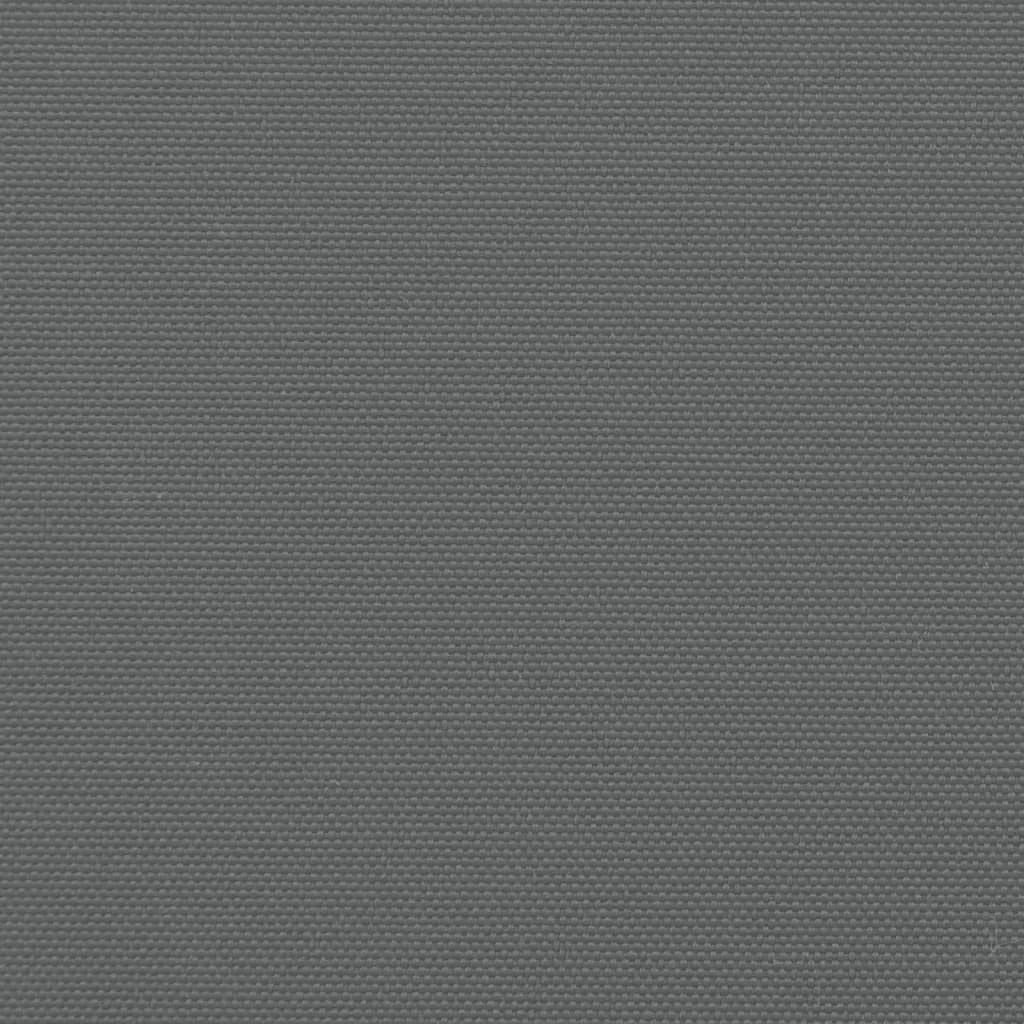 568580981